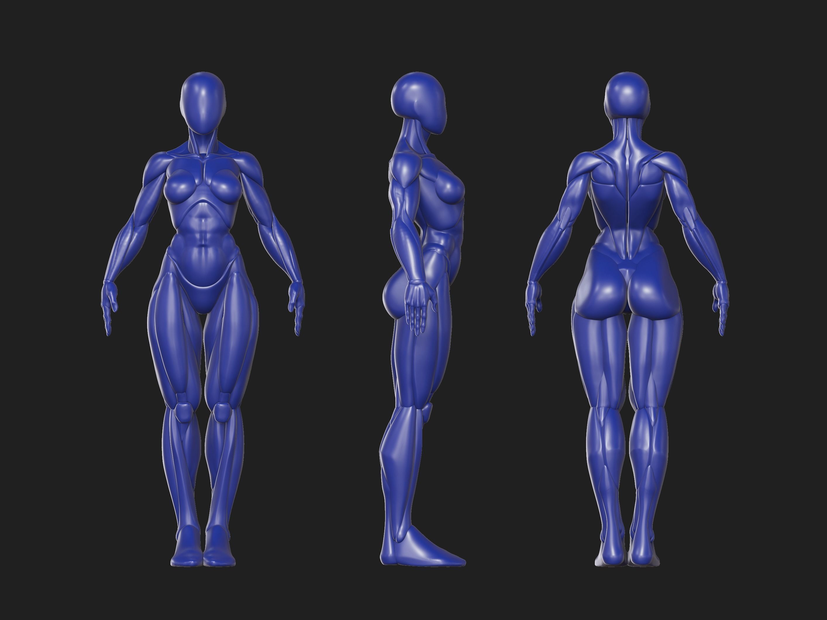 Female base mesh 3D print model_2