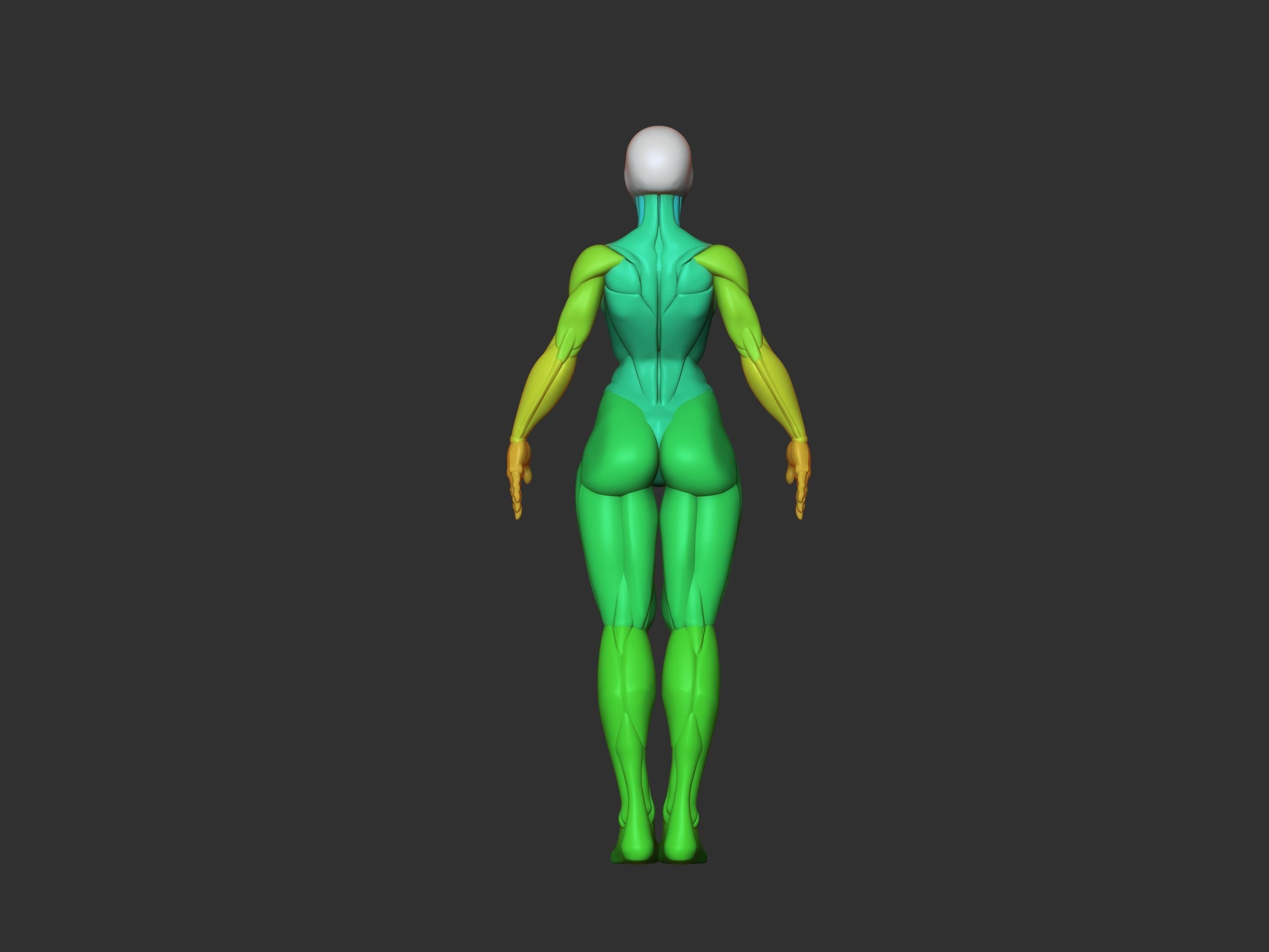 Female base mesh 3D print model_4