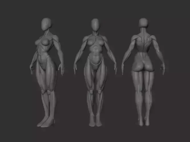 Female base mesh 3D print model