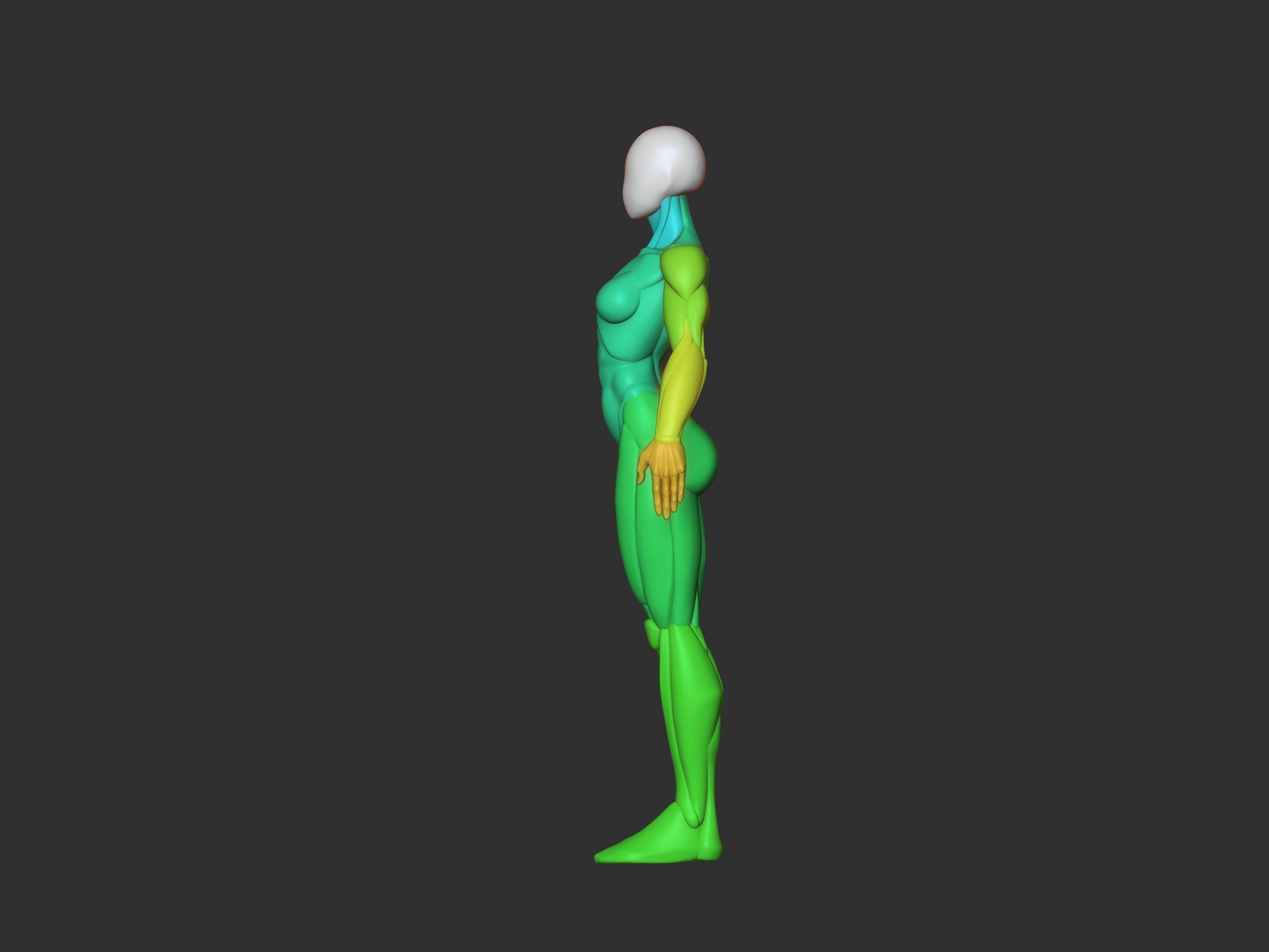 Female base mesh 3D print model_3