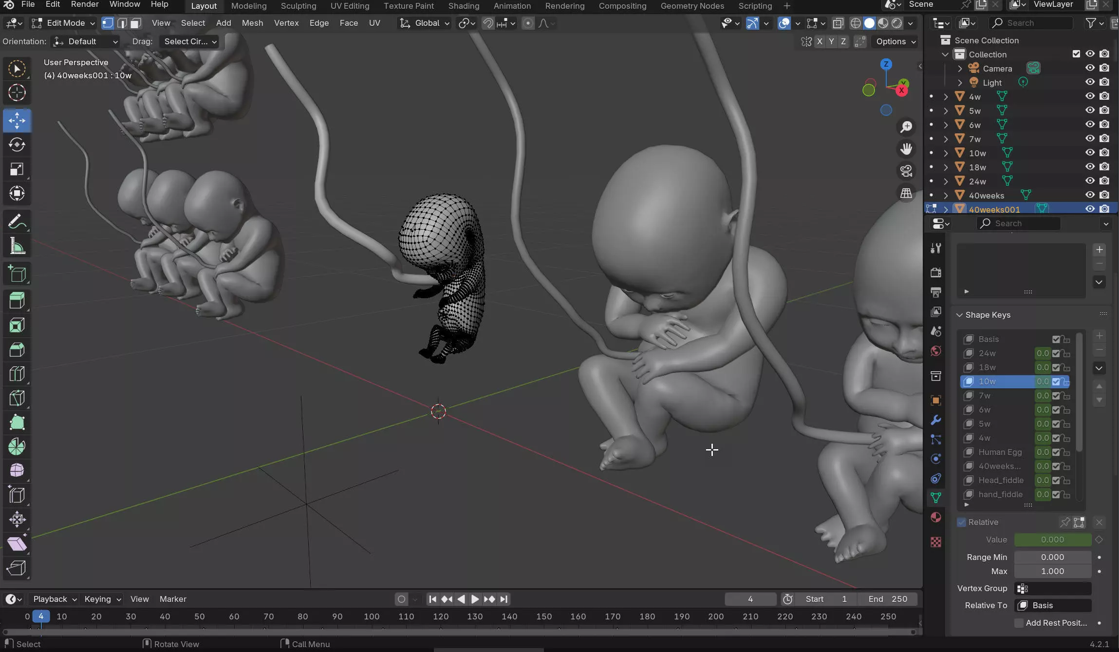 Animated and Morphed Human Fetus Low-poly 3D model_59