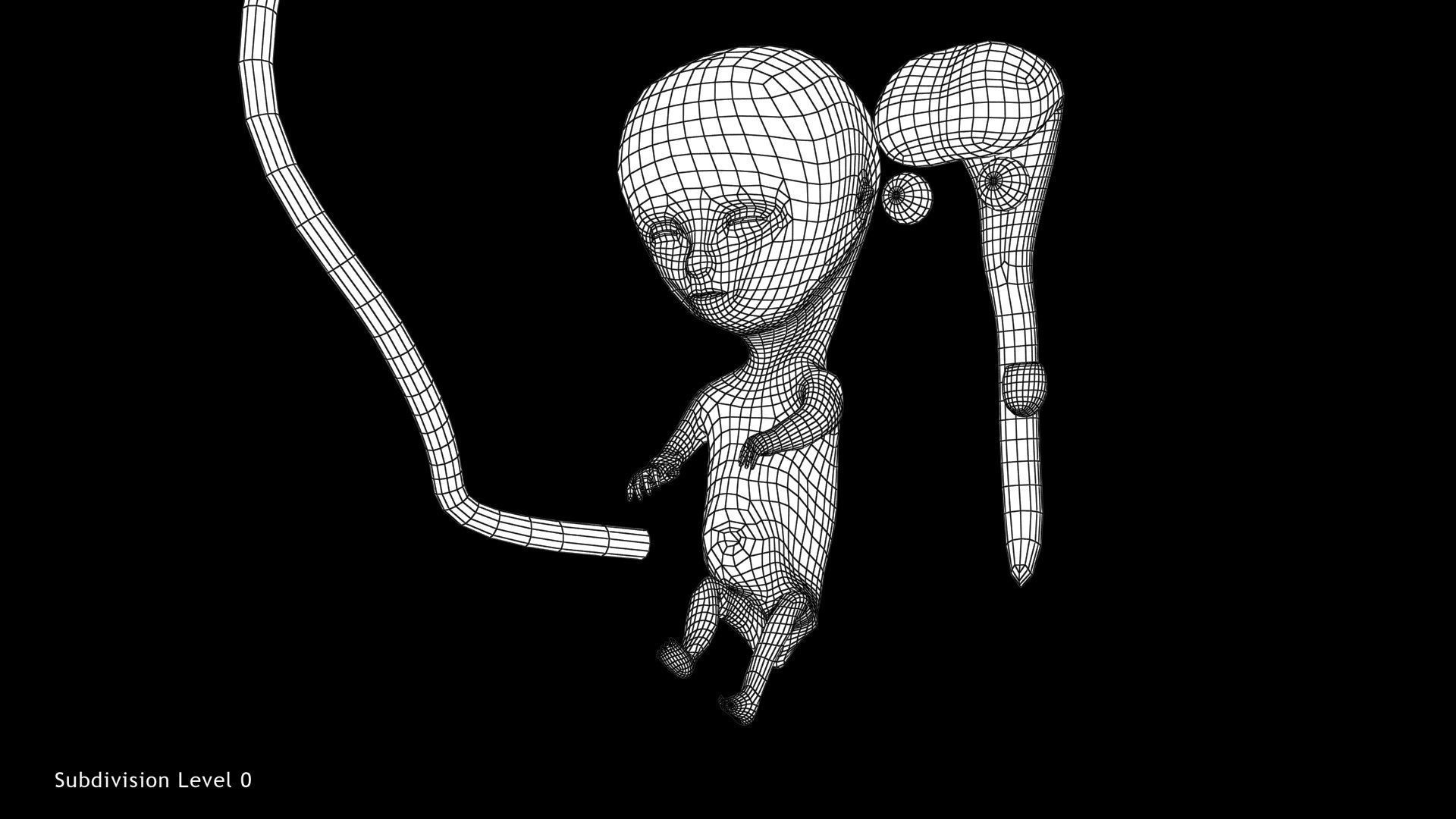 Animated and Morphed Human Fetus Low-poly 3D model_37
