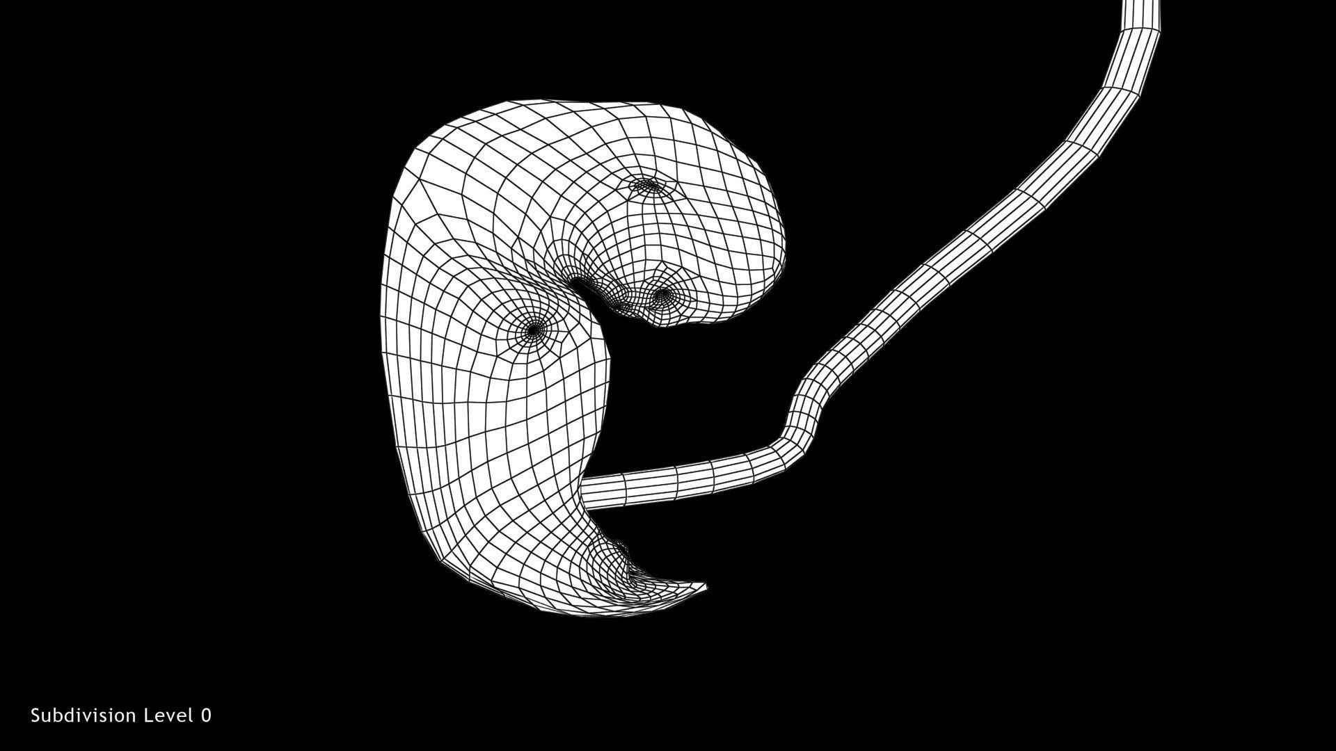 Animated and Morphed Human Fetus Low-poly 3D model_17