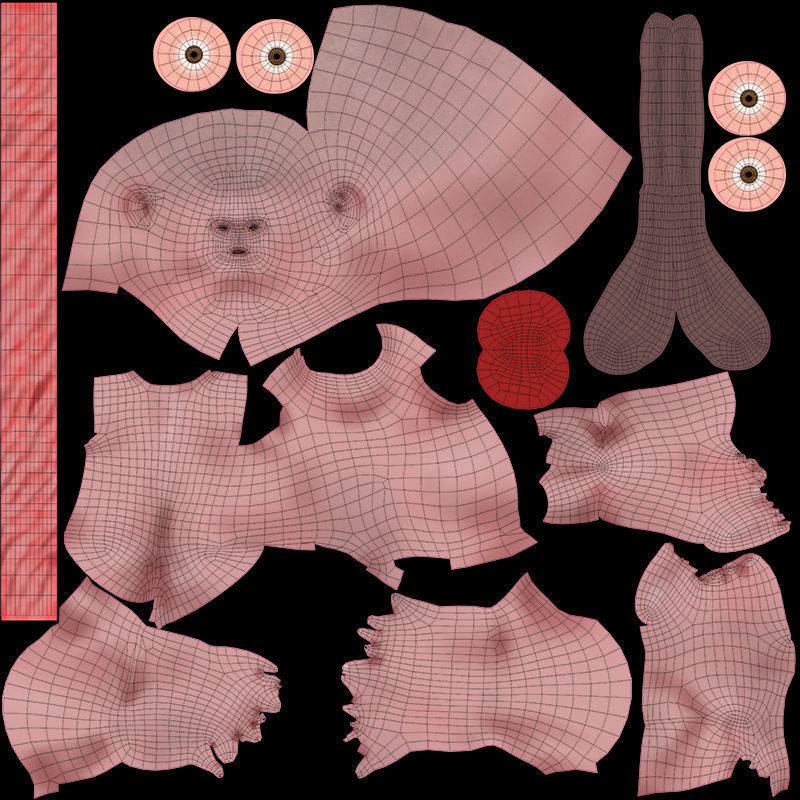 Animated and Morphed Human Fetus Low-poly 3D model_54