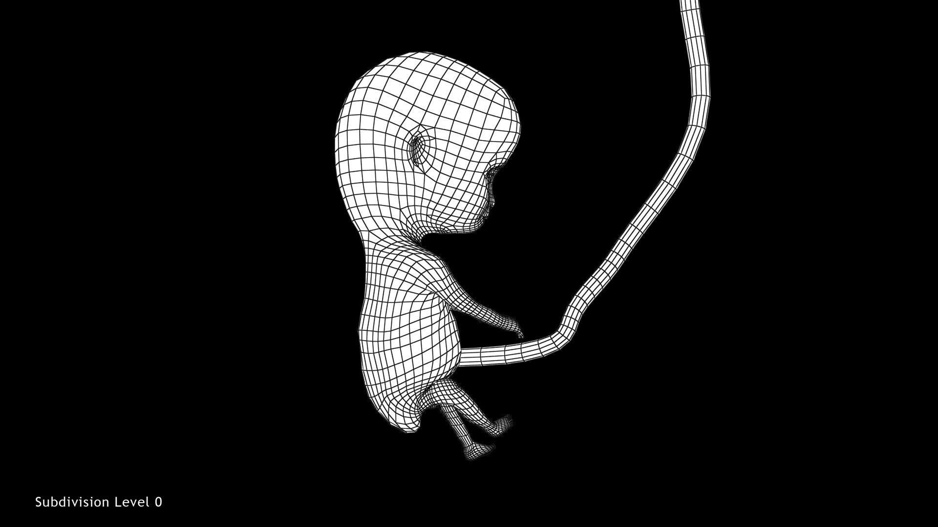 Animated and Morphed Human Fetus Low-poly 3D model_35