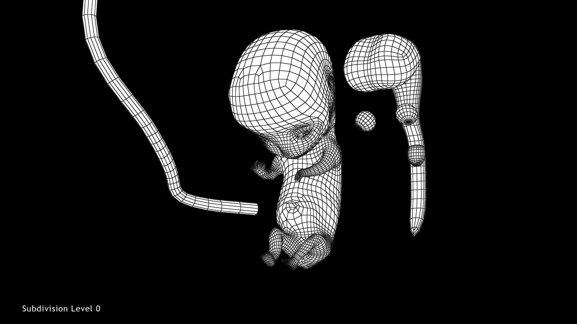 Animated and Morphed Human Fetus Low-poly 3D model_31