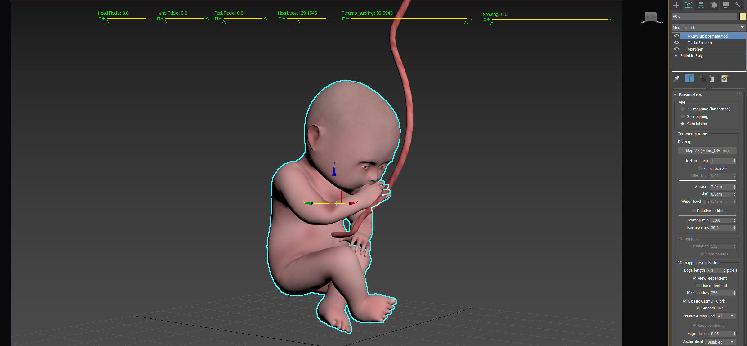 Animated and Morphed Human Fetus Low-poly 3D model_55