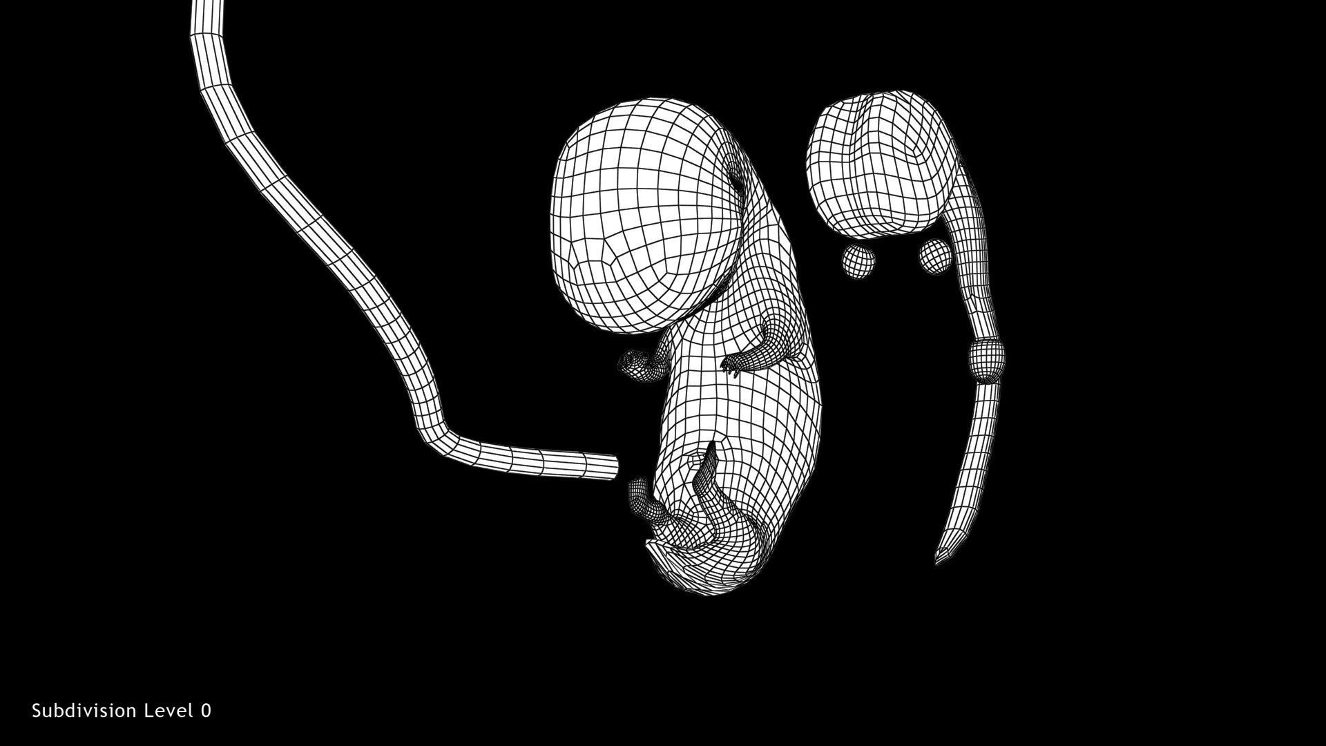 Animated and Morphed Human Fetus Low-poly 3D model_27