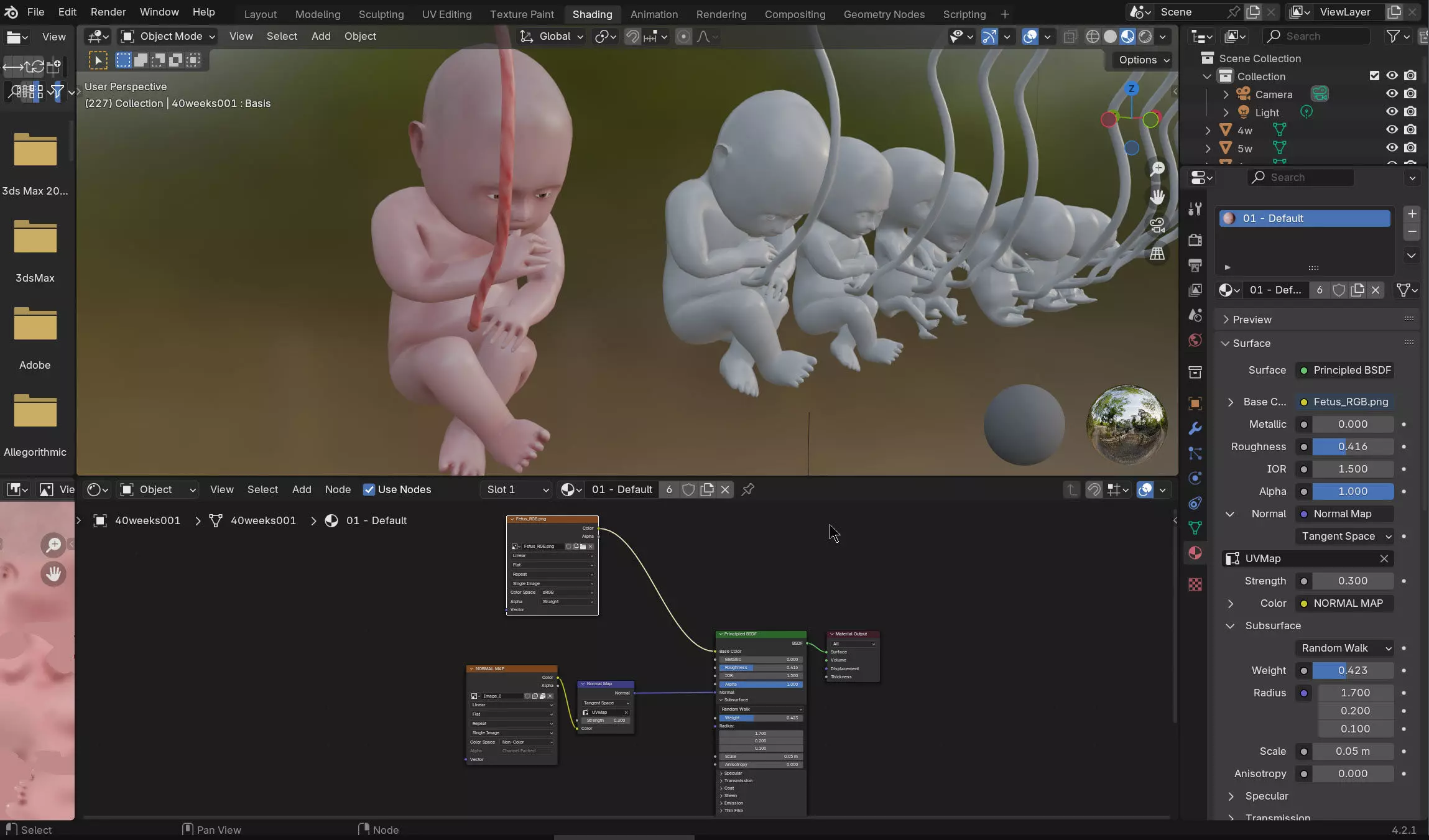 Animated and Morphed Human Fetus Low-poly 3D model_56