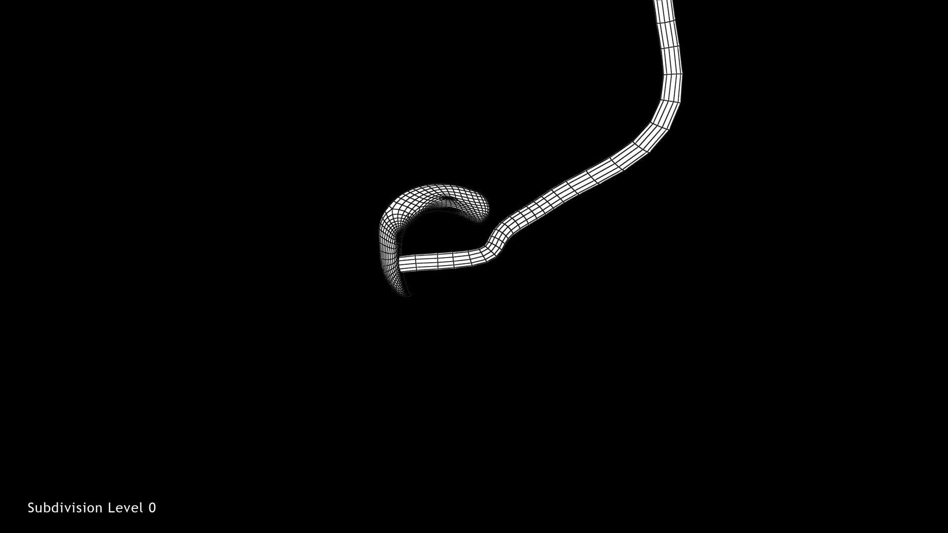 Animated and Morphed Human Fetus Low-poly 3D model_13