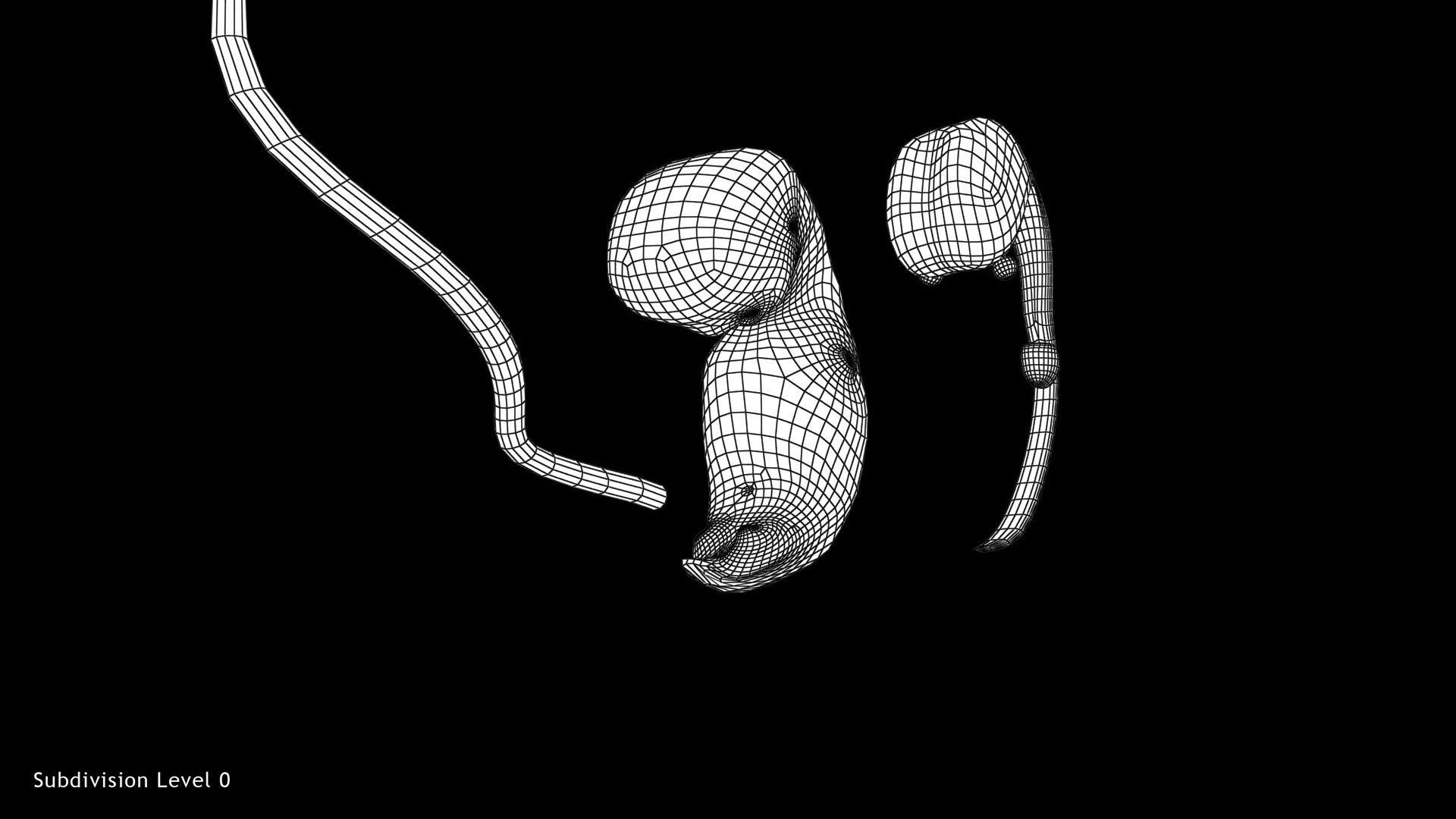 Animated and Morphed Human Fetus Low-poly 3D model_16