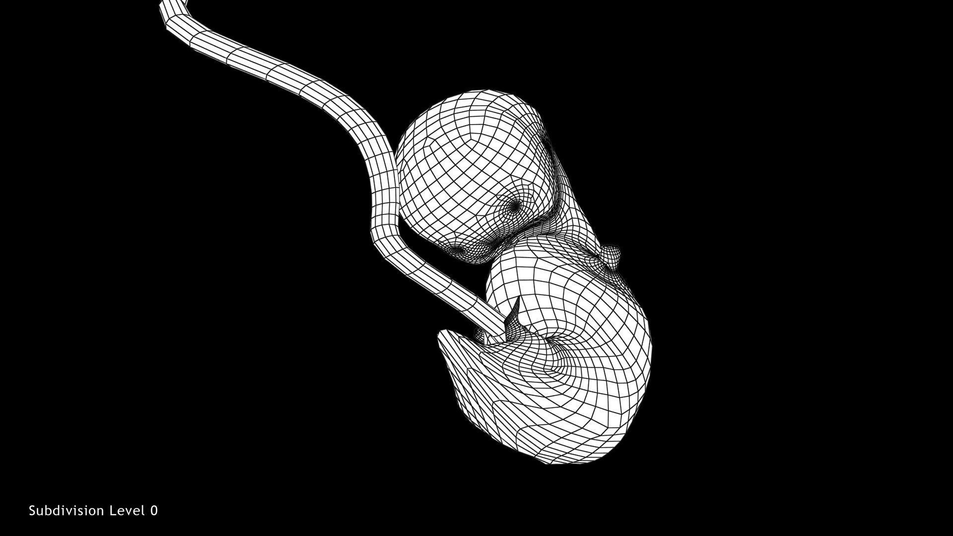 Animated and Morphed Human Fetus Low-poly 3D model_22