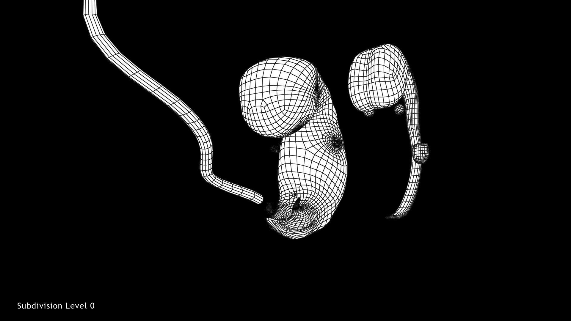 Animated and Morphed Human Fetus Low-poly 3D model_20