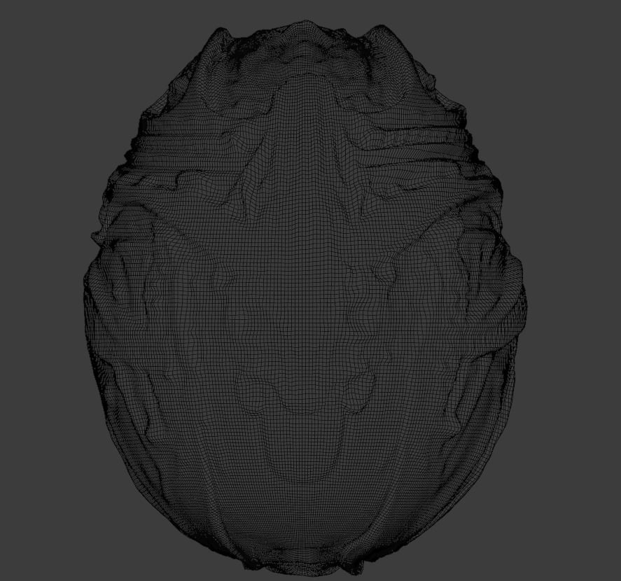 Realistic high quality Faberge Egg PBR 3D model_3