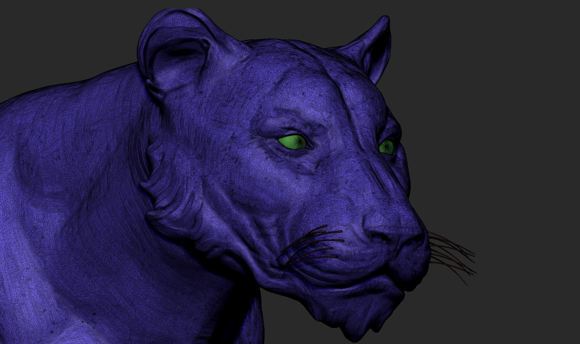 Stylized Tiger  3D model_4