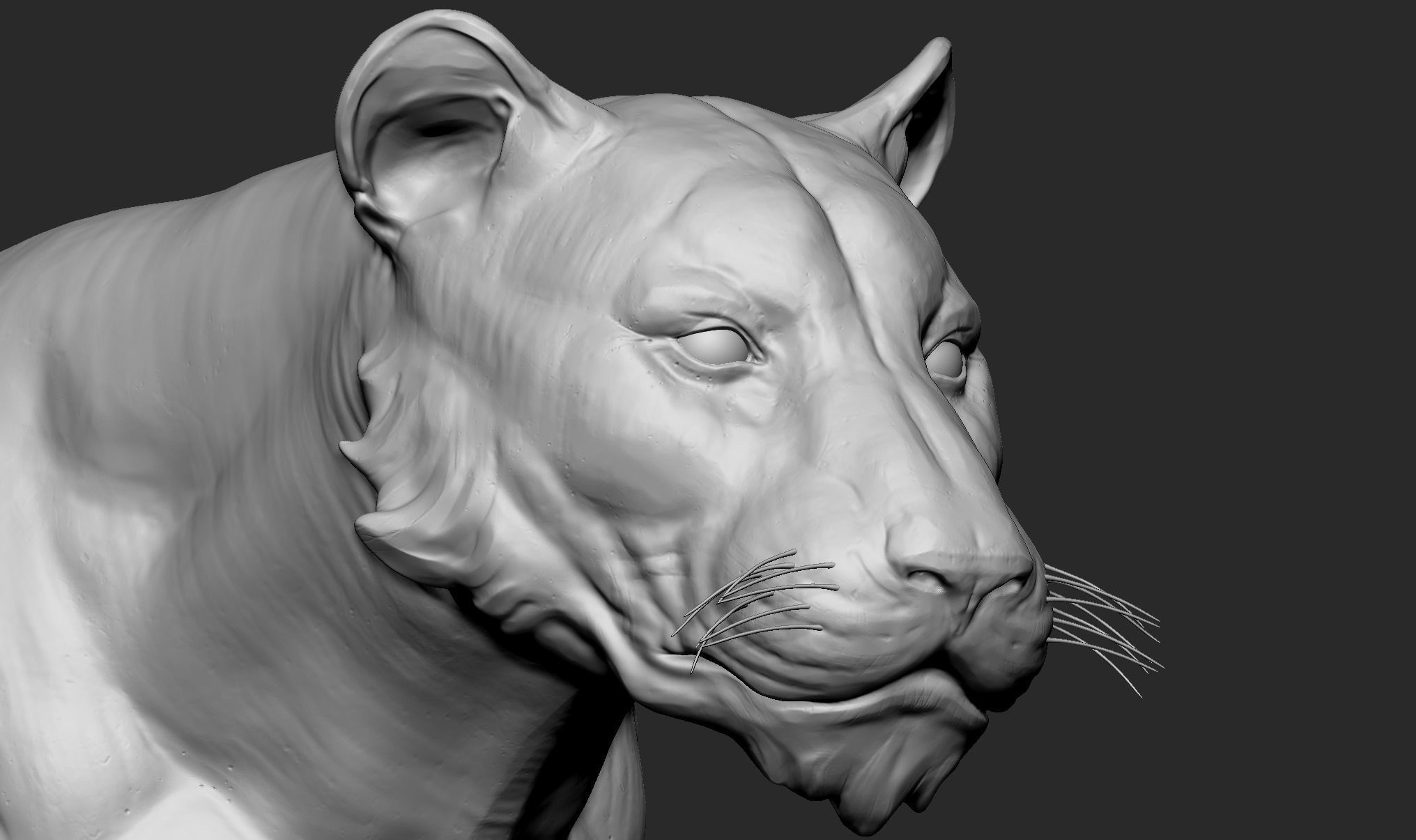Stylized Tiger  3D model_3