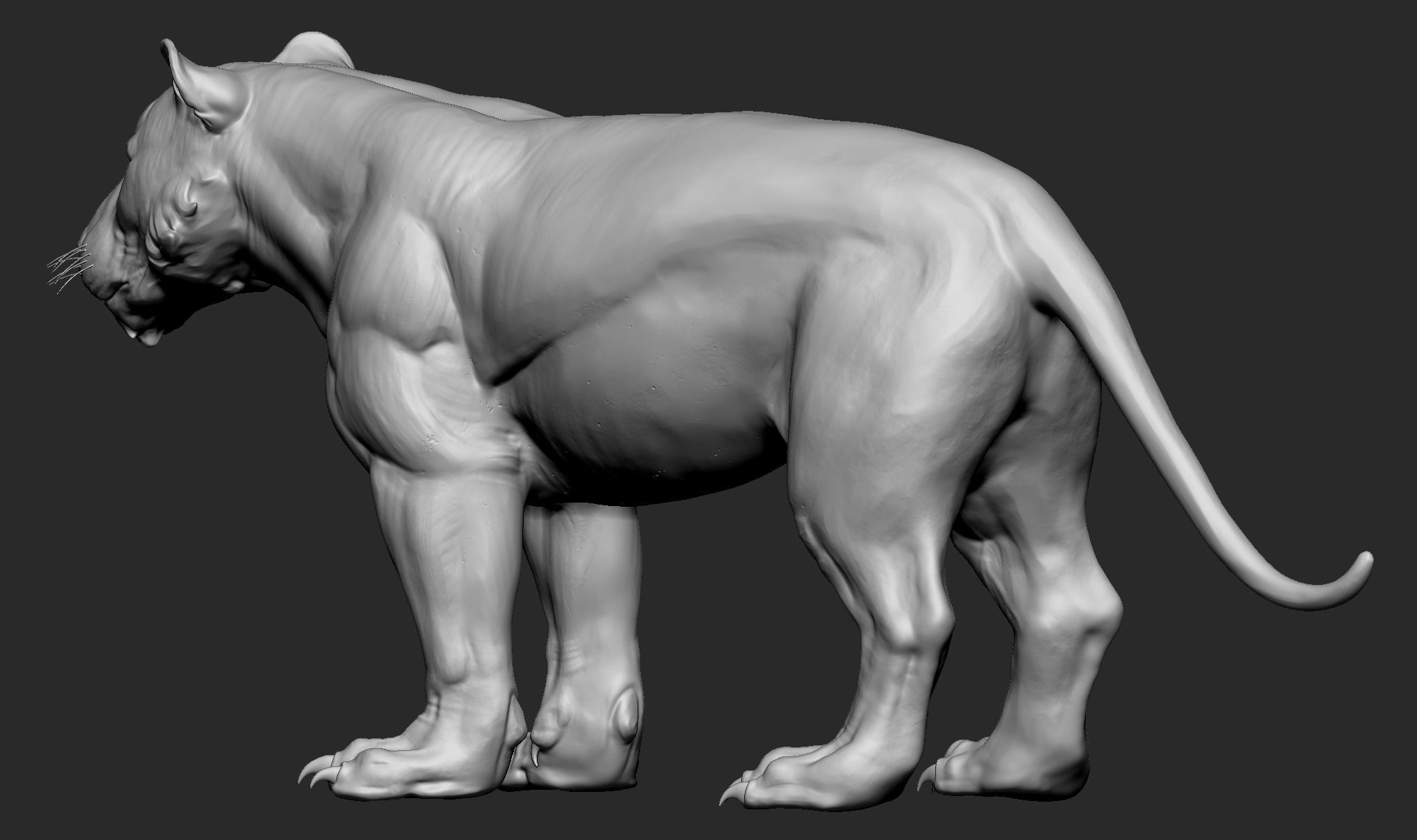 Stylized Tiger  3D model_2