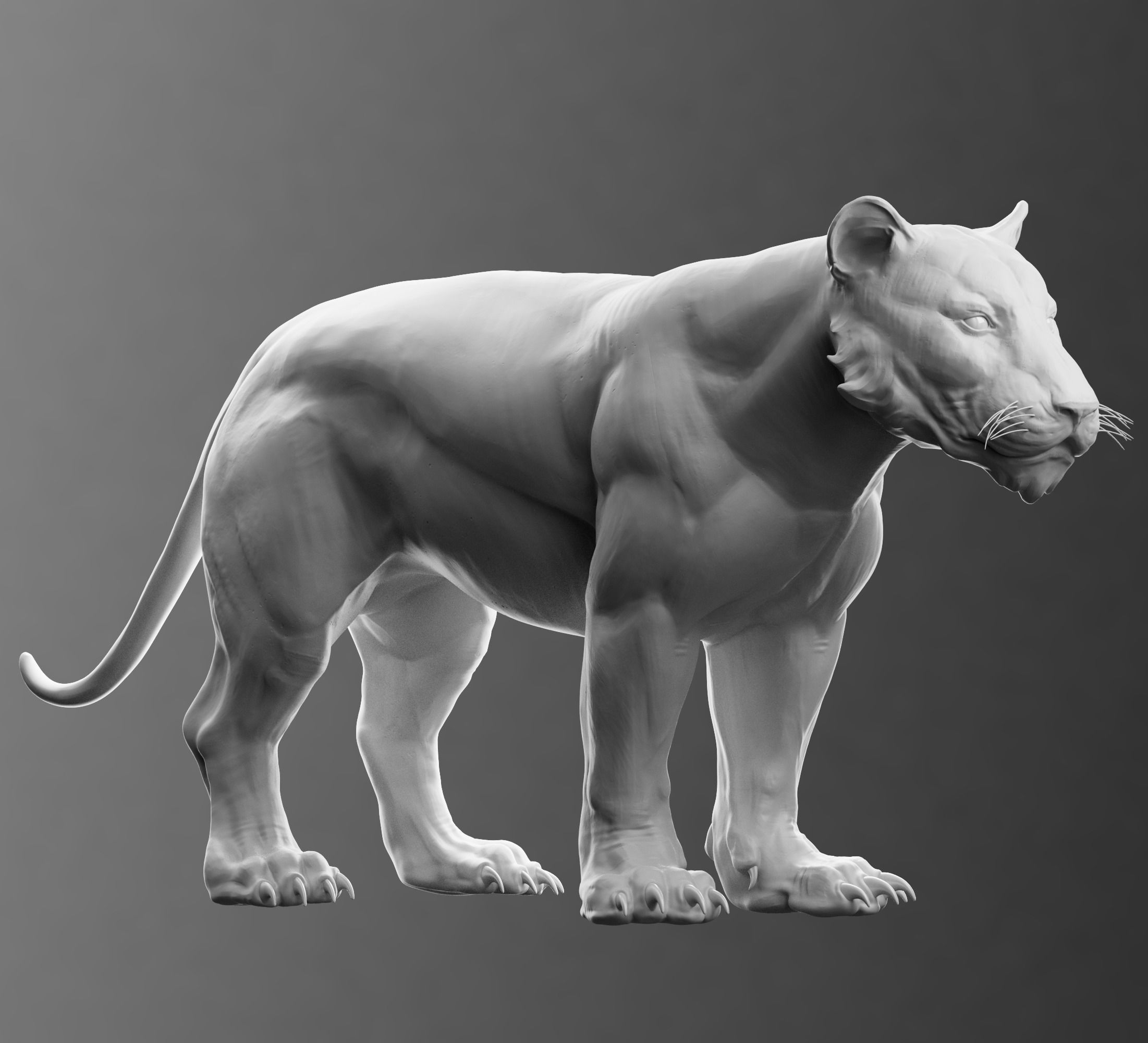 Stylized Tiger  3D model_5