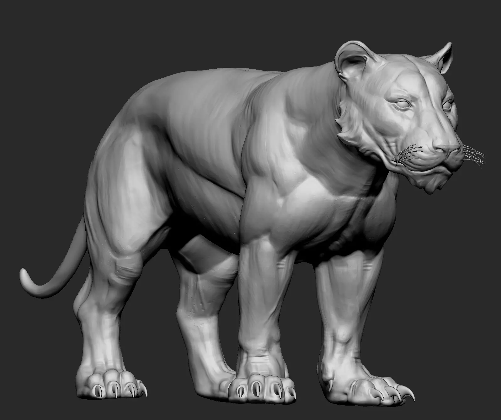 Stylized Tiger  3D model_0