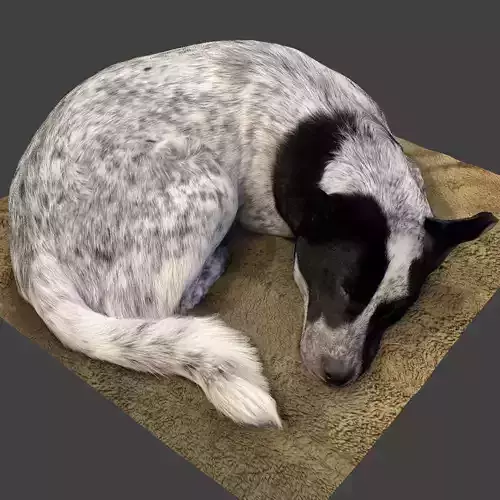 The Sleeping Dog - Japanese cute dog 3D print model