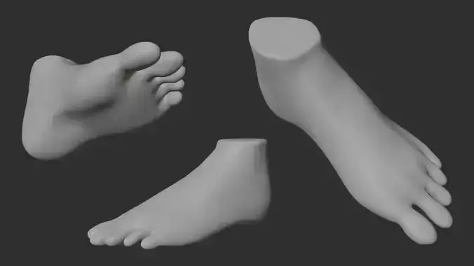 Female Anime Foot