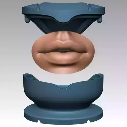 SILICONE MOUTH MOLD