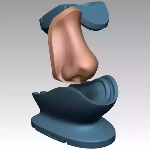 SILICONE NOSE MOLD 3D print model