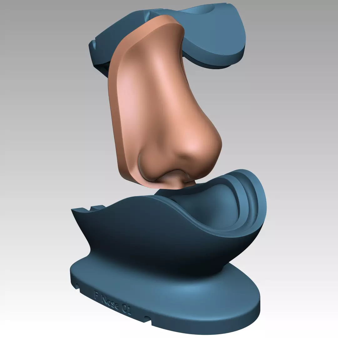 SILICONE NOSE MOLD 3D print model_0