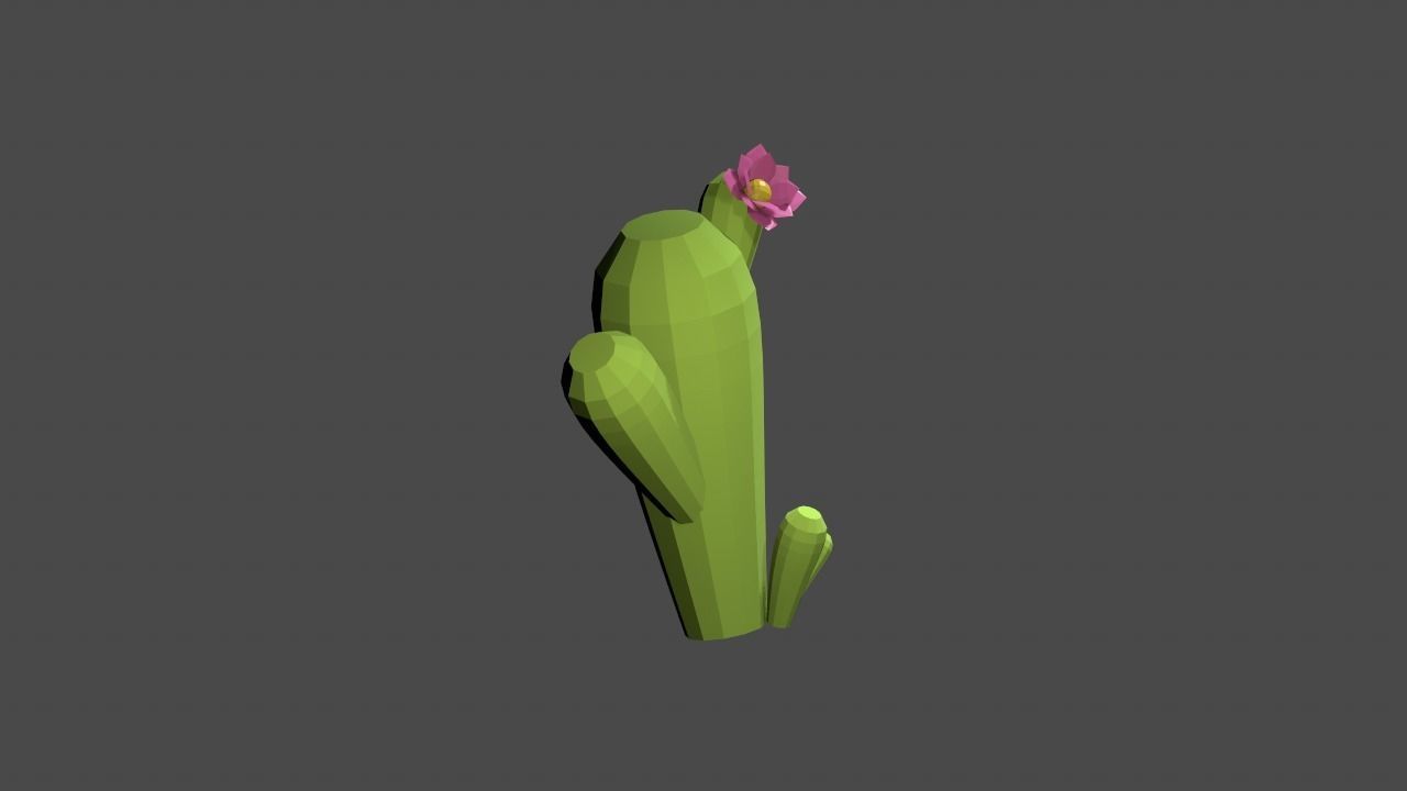 Desert 3D cactus Low-poly 3D model_14