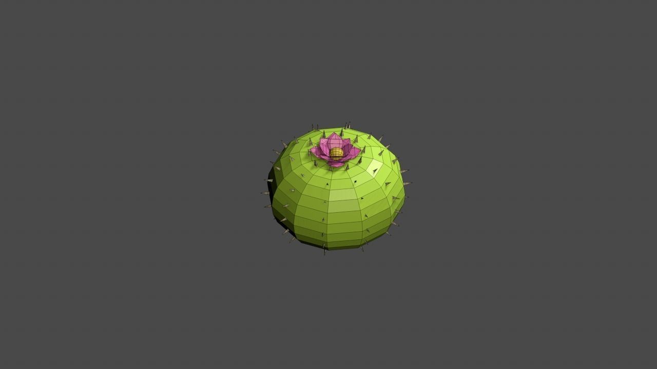 Desert 3D cactus Low-poly 3D model_17