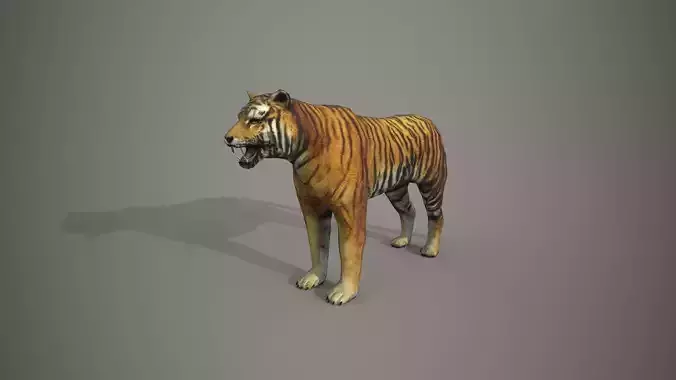 Bengali Tiger
