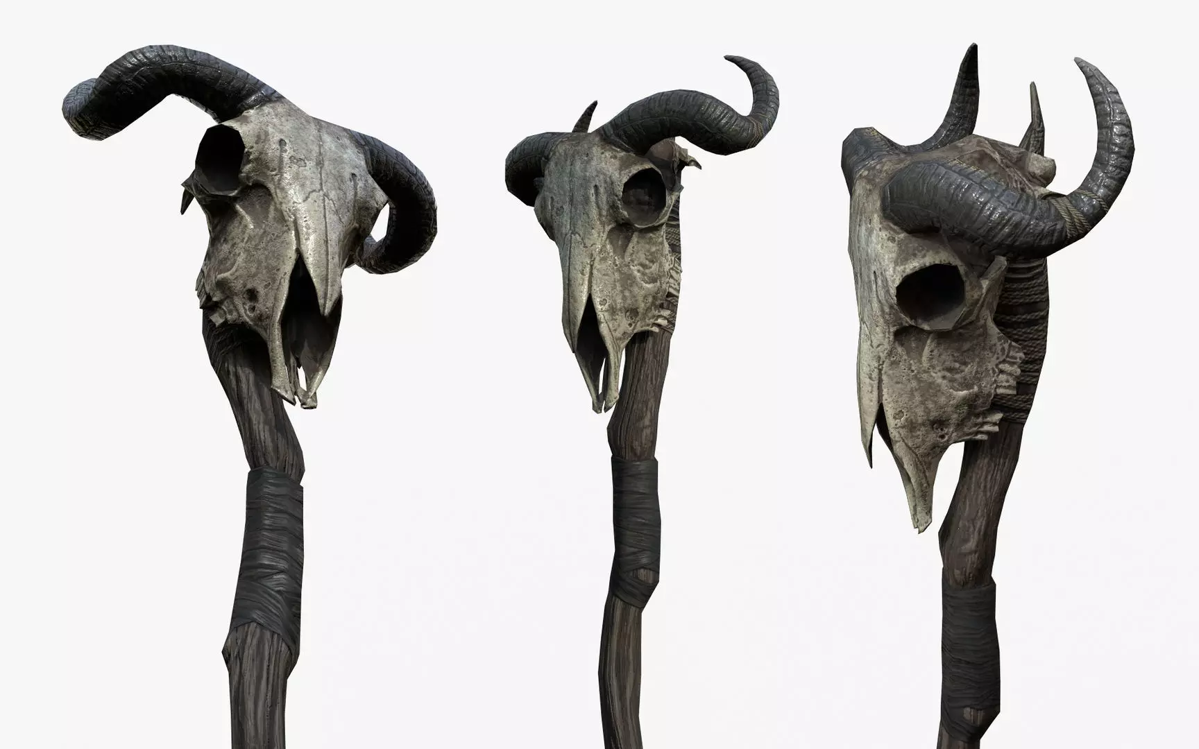 Animal Skull Staff Low-poly 3D model_0