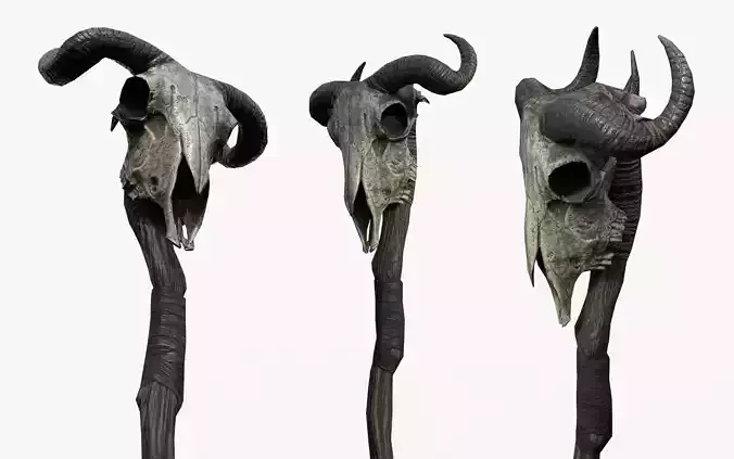 Animal Skull Staff Low-poly 3D model