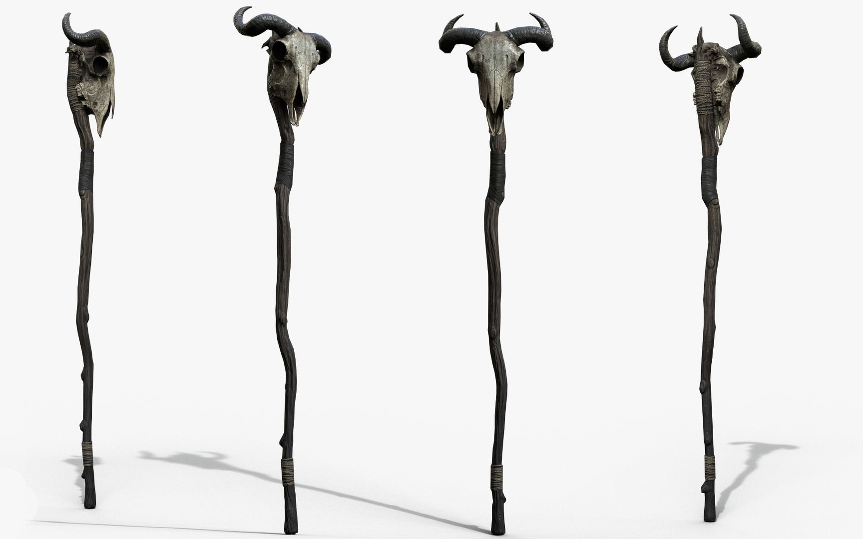 Animal Skull Staff Low-poly 3D model_1