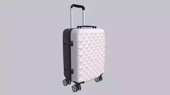 Trolley Bag