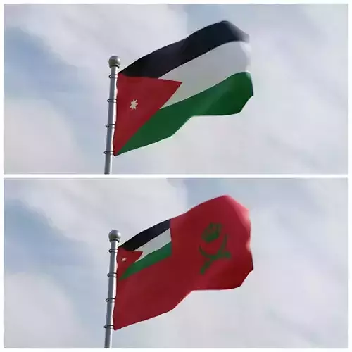 Animated Jordan Flags 