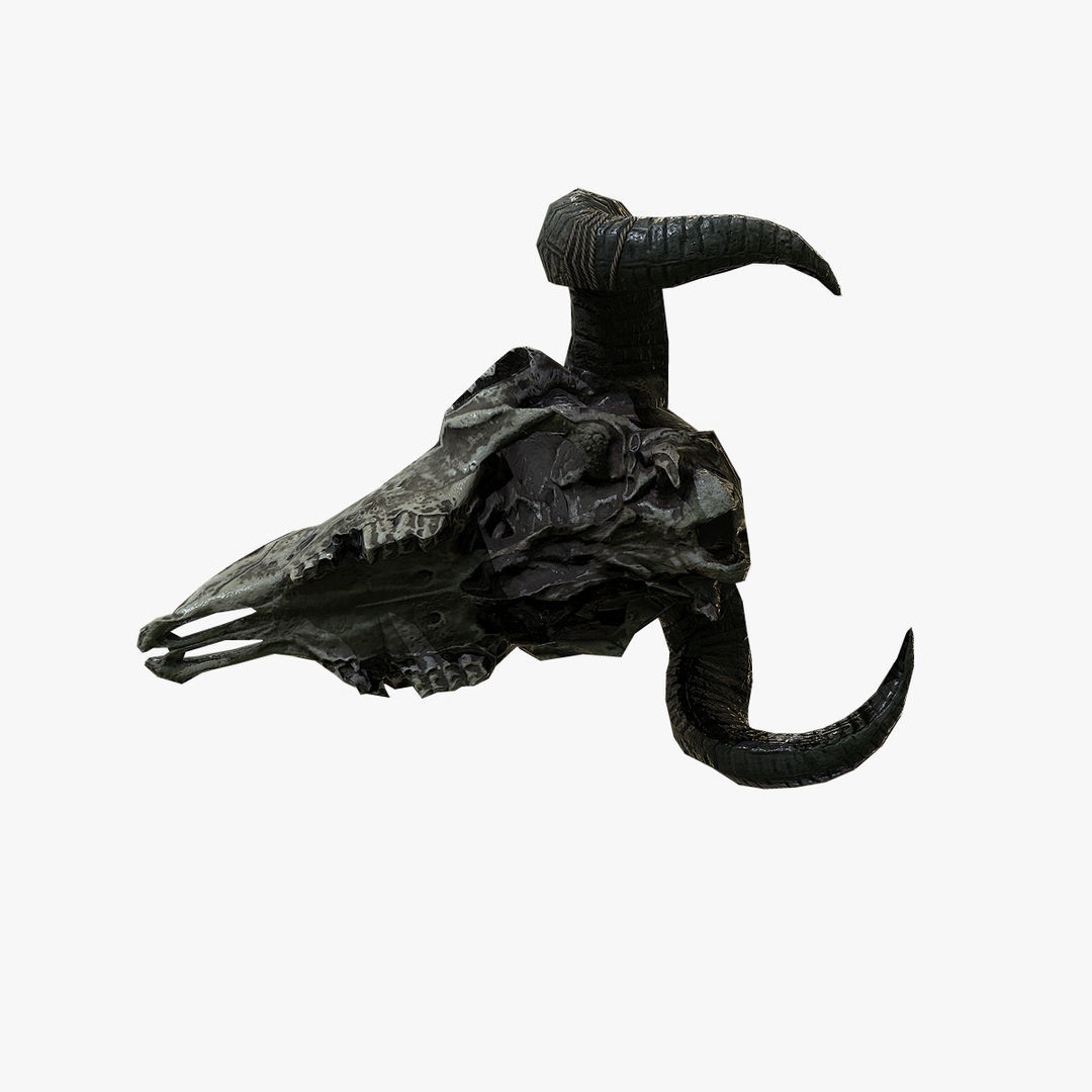 Animal Skull Low-poly 3D model_4
