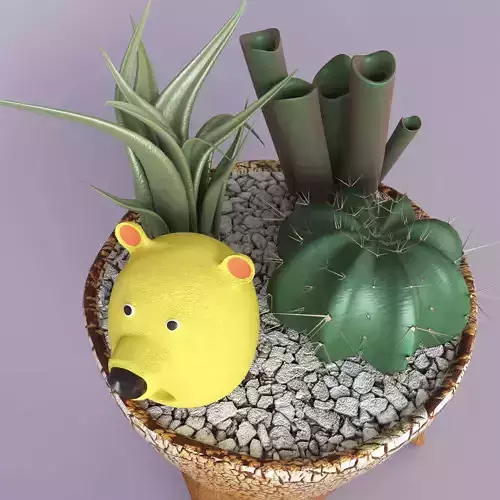 Flower-pot with succulents