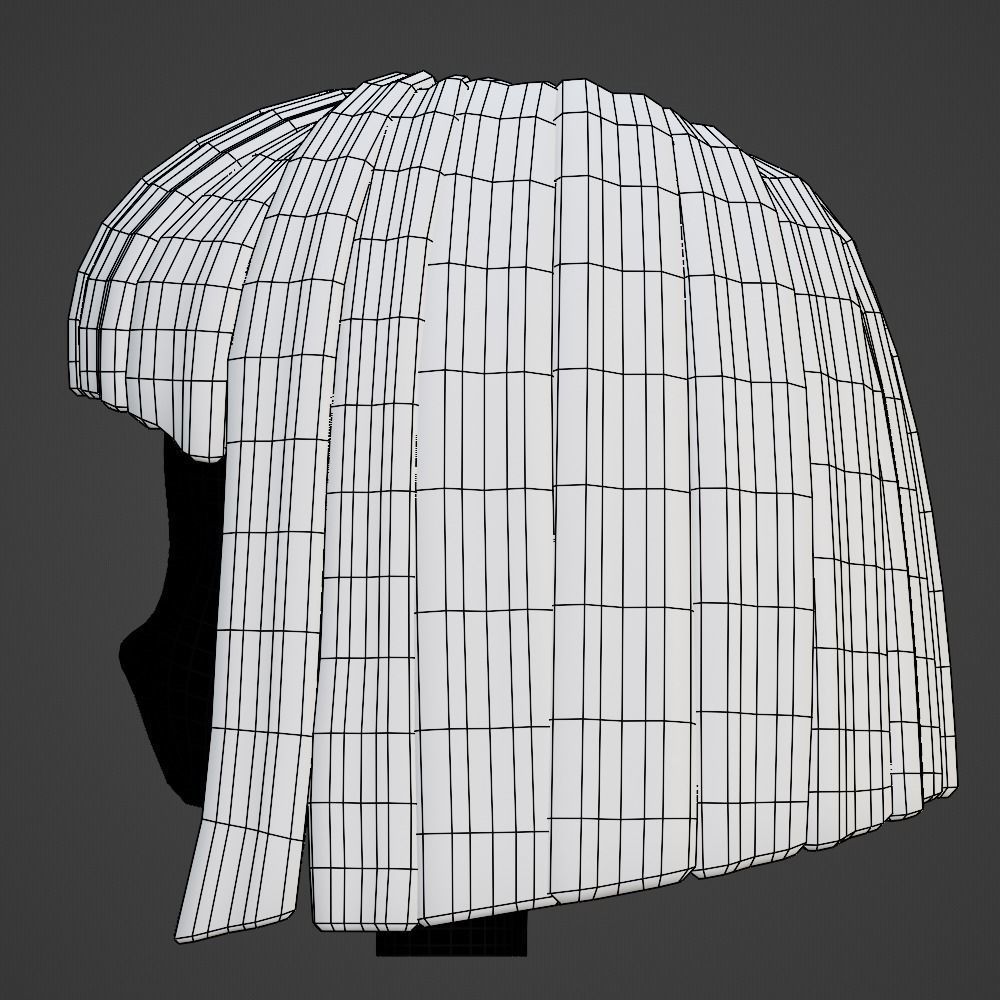 Hair style female 10 3D model_15