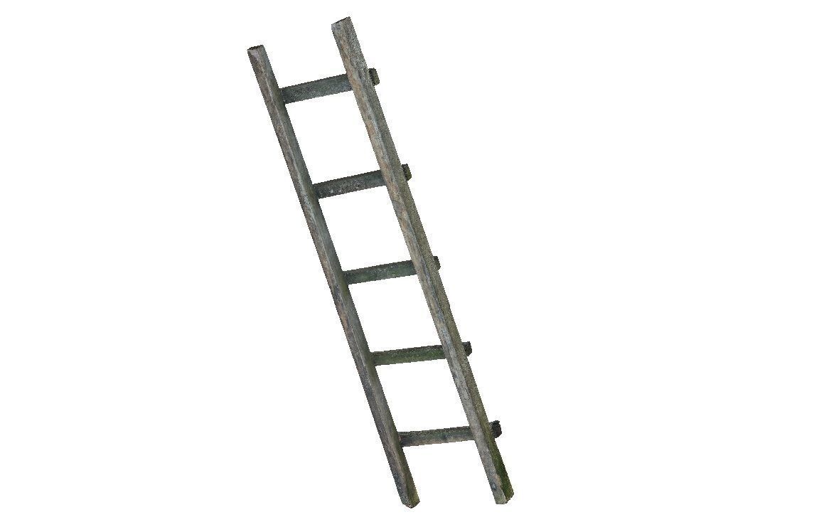 Old wooden ladder 3D model_1