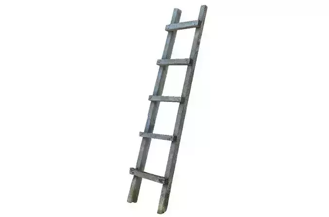 Old wooden ladder