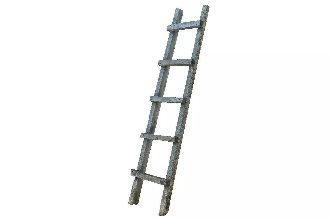 Old wooden ladder 3D model_0