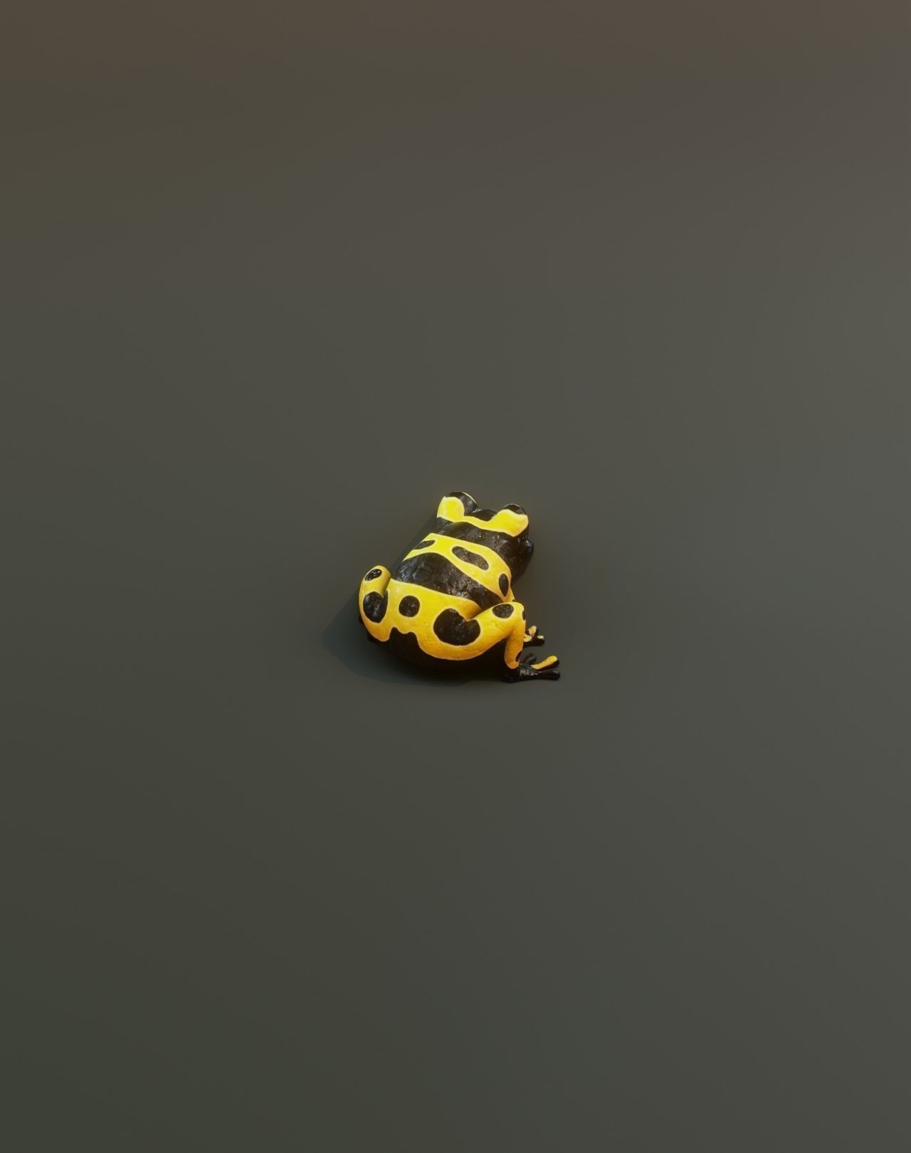 Cartoon Yellow-banded Frog Facial Expressions and 12 Animations Low-poly 3D model_17