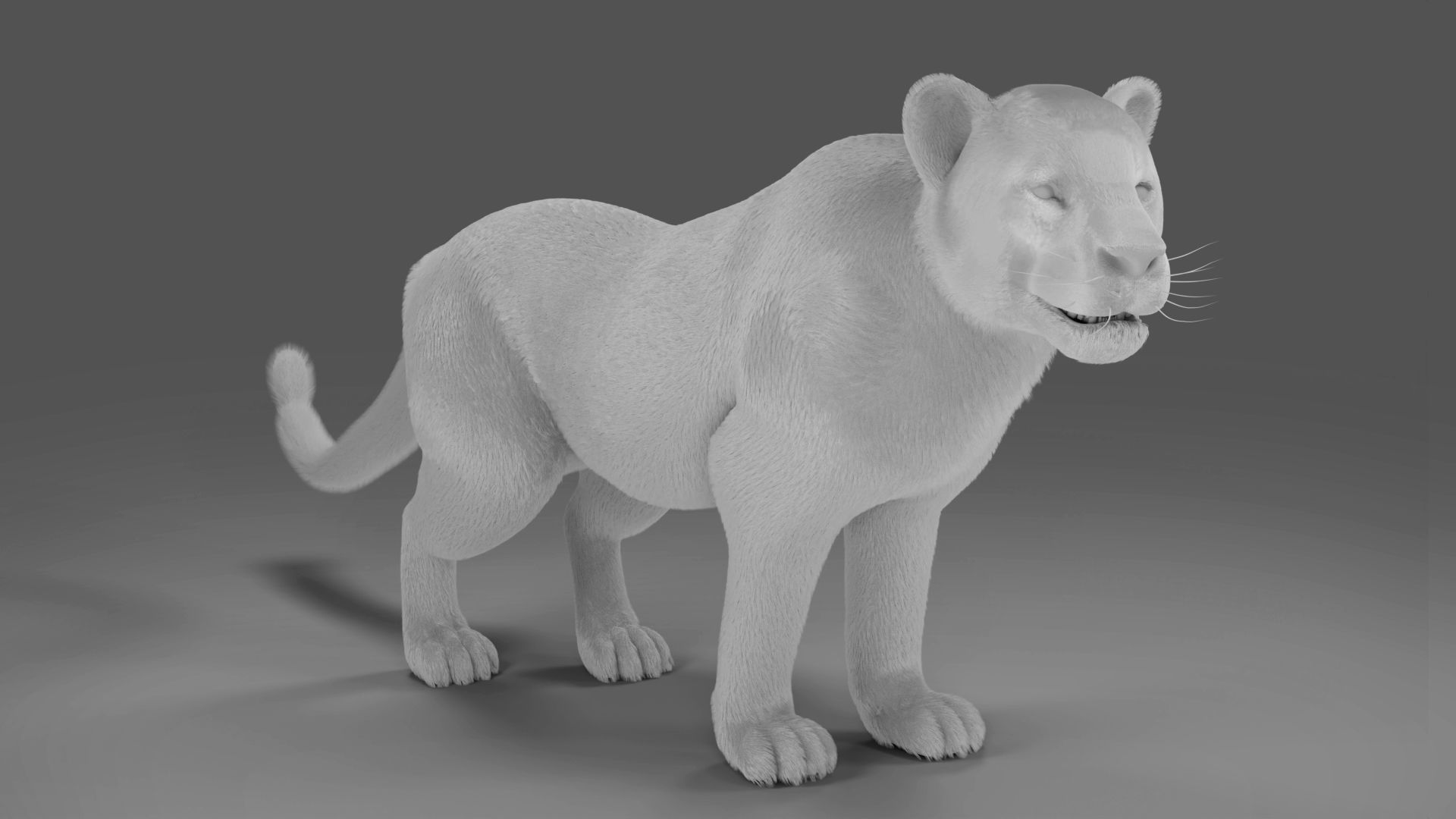  Fur Jaguar V01 Panther Rigged in Blender Low-poly 3D model_9