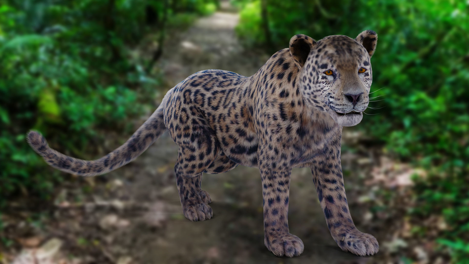  Fur Jaguar V01 Panther Rigged in Blender Low-poly 3D model_8