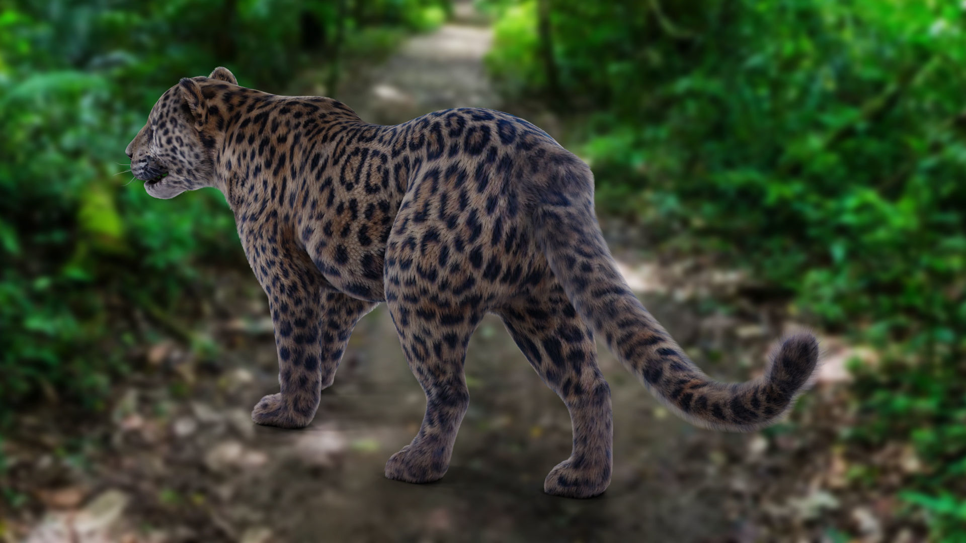  Fur Jaguar V01 Panther Rigged in Blender Low-poly 3D model_7