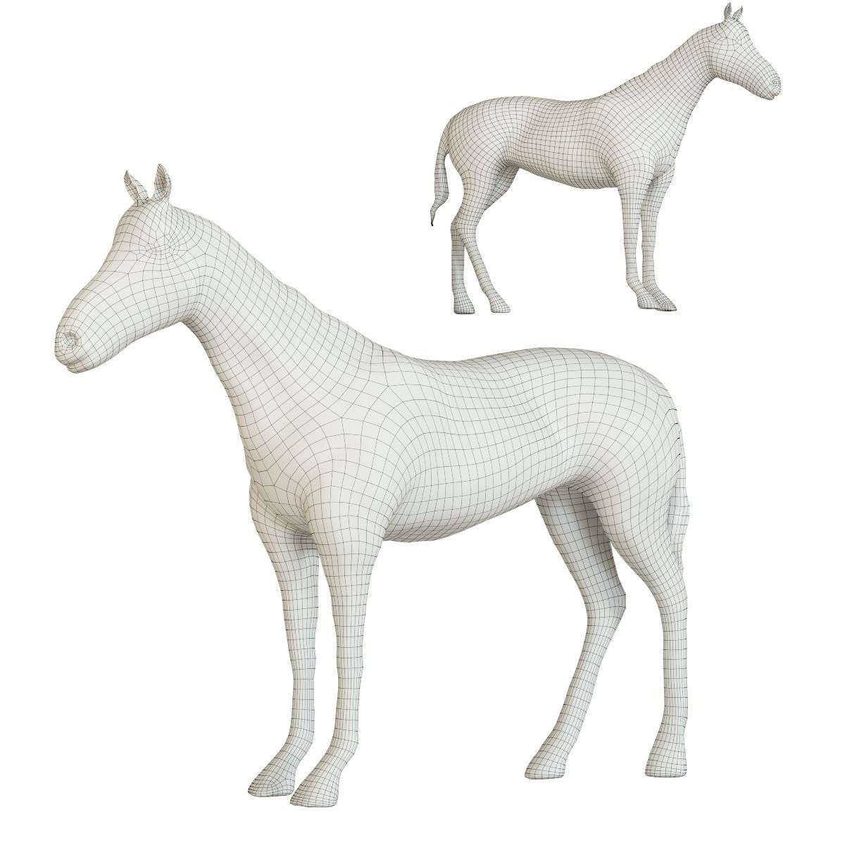  Horse colore 3D model_1