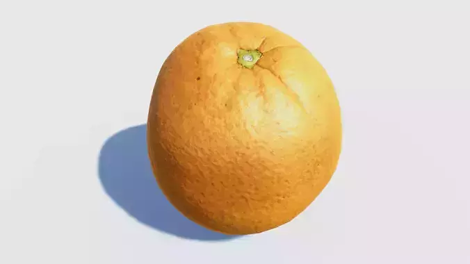 Orange photogrammetry scan