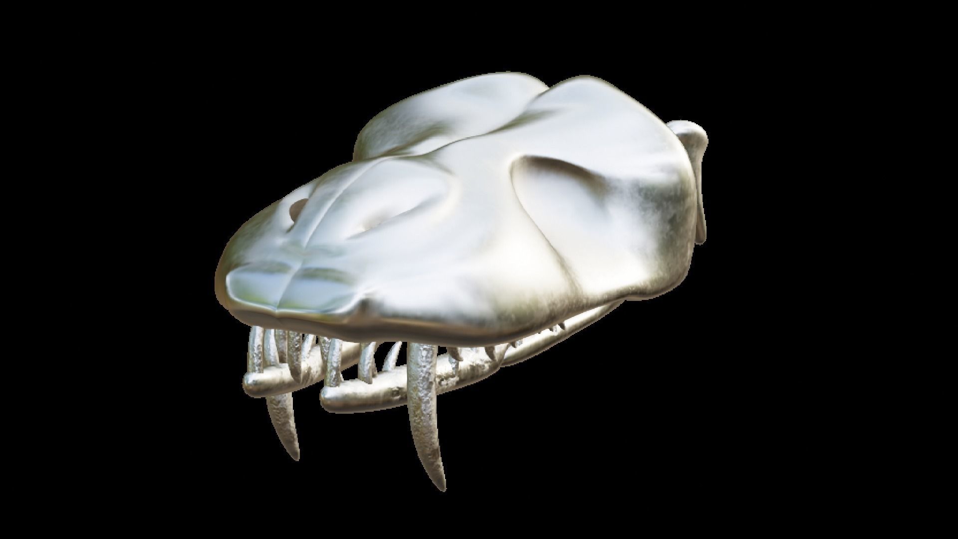 SNEAK SKULL Low-poly 3D model_13