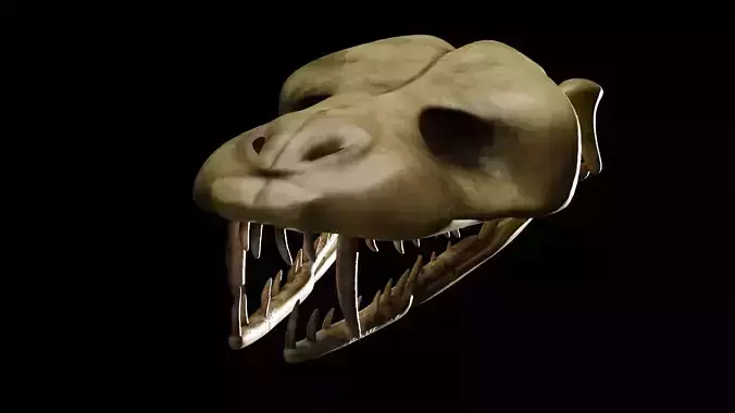 SNEAK SKULL Low-poly 3D model